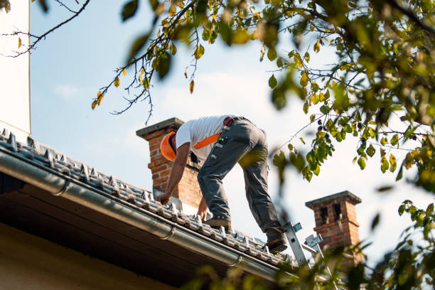 Best Roof Ventilation Installation  in Oakwood, GA