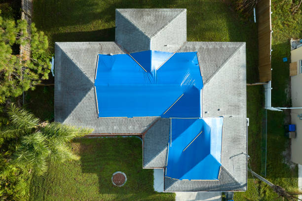 Best Skylight Installation and Repair  in Oakwood, GA