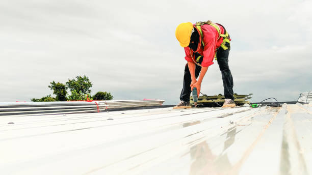 Best Roof Installation  in Oakwood, GA